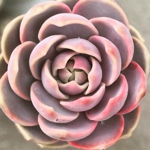 Meet your Posher, Kaitlin